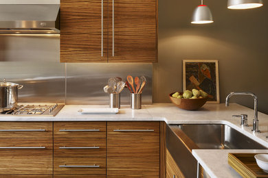 Example of a minimalist kitchen design in Philadelphia with stainless steel appliances