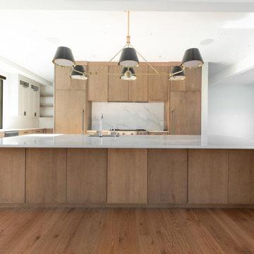 Modern/Transitional tear down rebuild