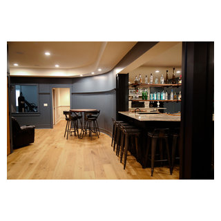 Maple Bluff remodel - Madison, WI - Transitional - Basement - Other ...