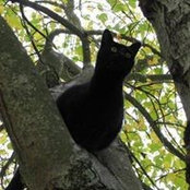 Susan Nesmith's photo