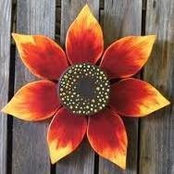 Debbie Brodzinski's photo