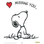 Jami Critchfield's photo