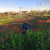 Vivica Thomas's photo