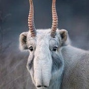 Matthew Tiemann's photo