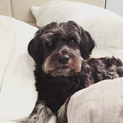 macbrideabel's photo