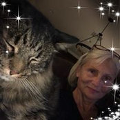 Nanette Dall's photo