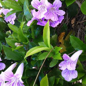 Peggy Zagelow's photo