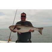 Ron Hughes's photo