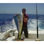 Mark Venton's photo