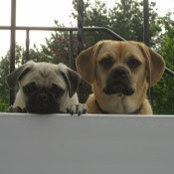 Gabriella DeSantis's photo