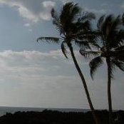 Karen Litwin's photo