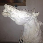 Trudy Scott's photo