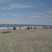 Deb Brimmer's photo