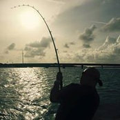 Foto von Derek Jenks
