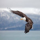 Jackie Boyer's photo