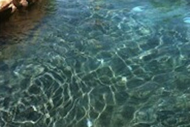 Example of a backyard kidney-shaped natural pool design in Phoenix