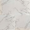 MSI N2424 24" x 24" Square Floor and Wall Tile - Matte Visual - - Calacatta