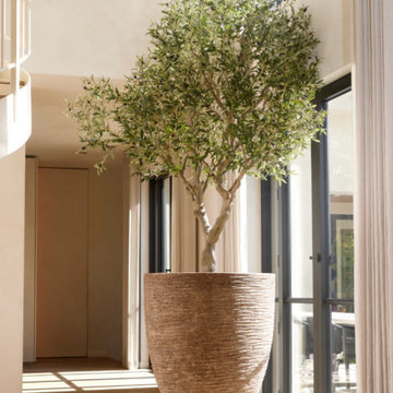 Artificial & Forever Green Plants