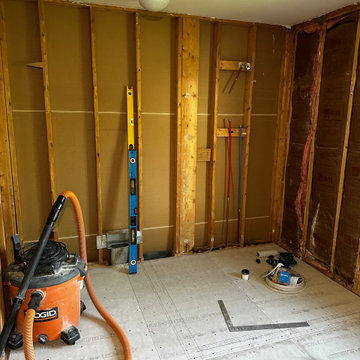 Upcoming Ann Arbor Master Bathroom