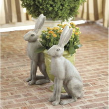 Gardening Ideas