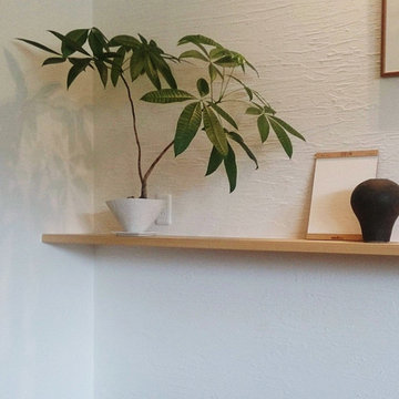 Plants.S