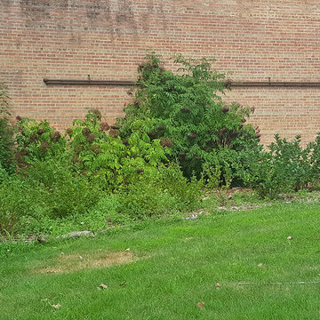 The Talking Farm: Edible Woodland