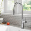 Oletto Pull-Down 1-Handle 1-Hole Kitchen Faucet, 2-Function, Chrome