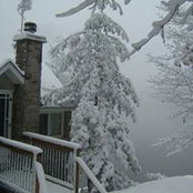 Bernie Tratnik's photo