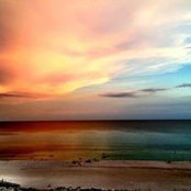 Debbie Ewing's photo