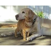Teri Clarke's photo