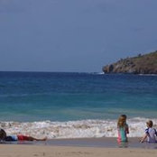 Lynne Norell's photo