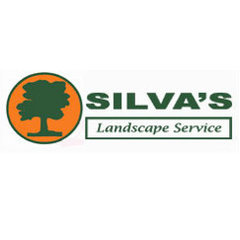 Silva's Landscape
