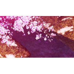Foible
