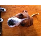 Lisa Sealey's photo