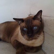 Barbara Karim's photo