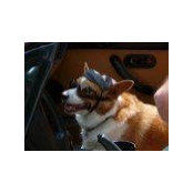 Debbie Hebbeler's photo