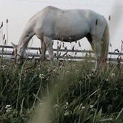 Foto di Chris Krohe