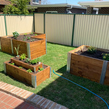 Veggie Patch