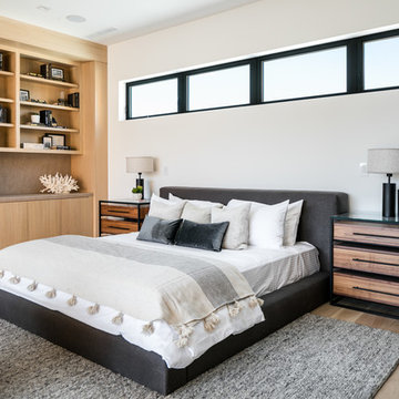 Appleton Project- Venice Beach
