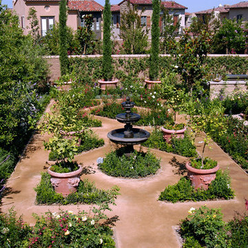 Crimson Rose Irvine