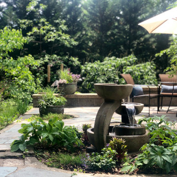 Wild Oasis In The City