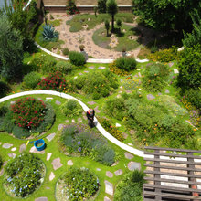 Landscape Ideas