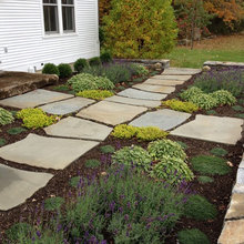 front yard