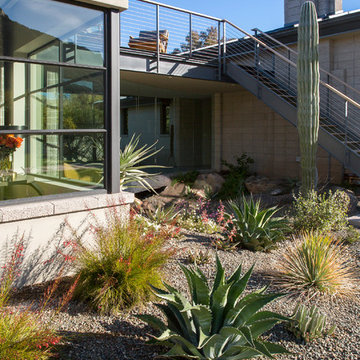 Camelback Mountain Contemporary | Desert Landscape