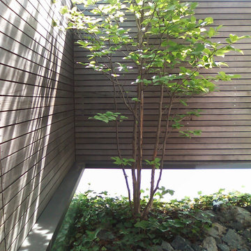 MA-HOUSE