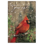 DDCG - "Season's Greetings" Cardinal Canvas Wall Art, 24"x36" - Spread holiday cheer this Christmas season by transforming your home into a festive wonderland with spirited designs. This "Season's Greetings" Cardinal 24x36 Canvas Wall Art makes decorating for the holidays and cultivating your Christmas style easy. With durable construction and finished backing, our Christmas wall art creates the best Christmas decorations because each piece is printed individually on professional grade tightly woven canvas and built ready to hang. The result is a very merry home your holiday guests will love.