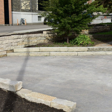 Our Work