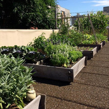 City rooftop vegetable garden