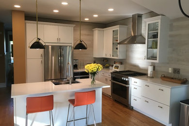 Example of a minimalist kitchen design in Chicago