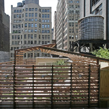Patio Ideas